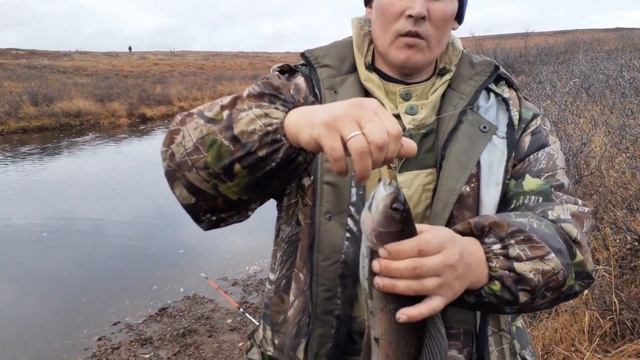 Чукотский хариус 28 09 2019 смотреть онлайн