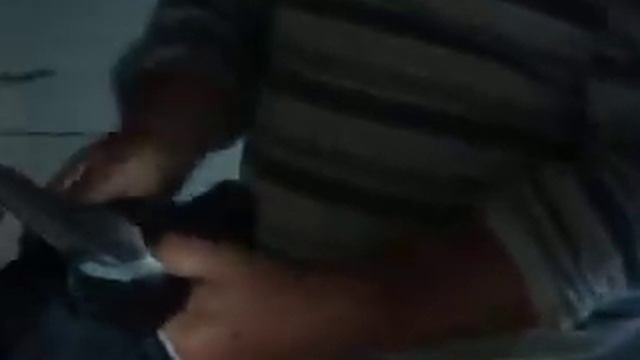 Мои голуби/Рябые,Старониколаевские,..../Голуби Виталия Ивановича. смотреть онлайн