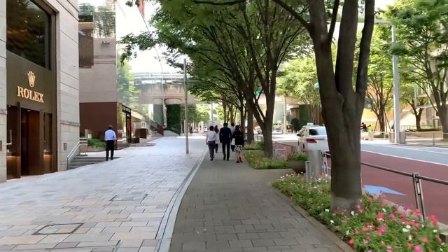 ВЛОГ. Есть ли сыры в Японии. Стало плохо.