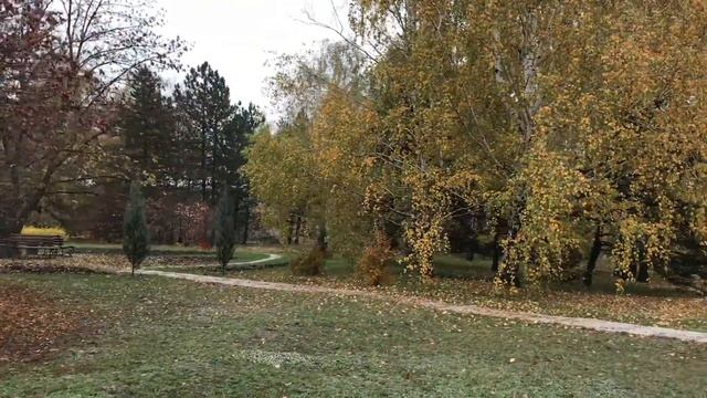 Осень, осень, ну давай у листьев спросим Где он май, вечный май... Криворожский ботанический сад смотреть онлайн