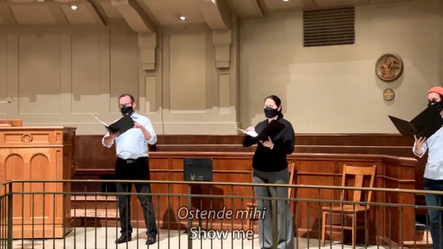 “Domine Jesu” - José Maurício Nunes Garcia смотреть онлайн