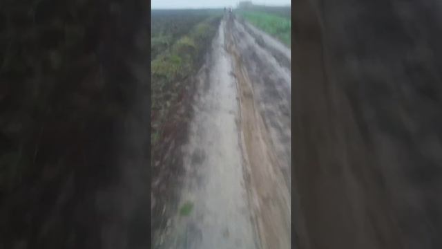 Ваз смотреть онлайн