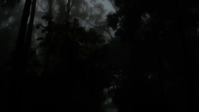 True Scary Stories Of Bigfoot Encounters Collaboration With HollyWizzle And The Slumlocker смотреть онлайн
