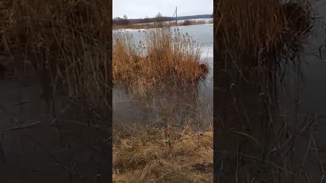 паводок на милятинском водохранилище смотреть онлайн