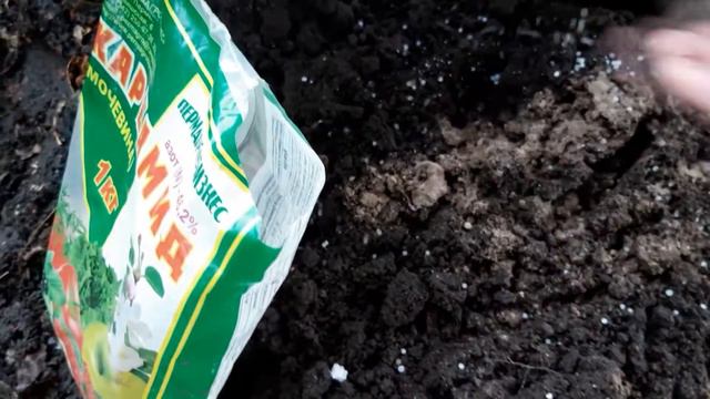 Урожайный грунт для рассады