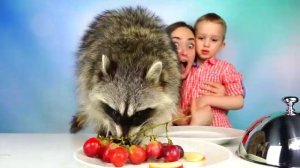 Обычная Еда против Мармелада Челлендж! МАМА ПЛАЧЕТ! Real Food vs Gummy Food