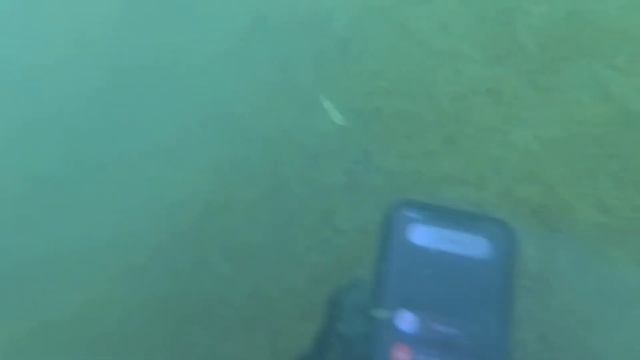 Iphone 12 pro. Подводный поиск. смотреть онлайн