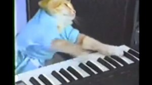 мем про котика на пианино