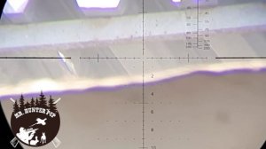 Охота с Псп 5.5 Kricket. Всякая разная Дичь.