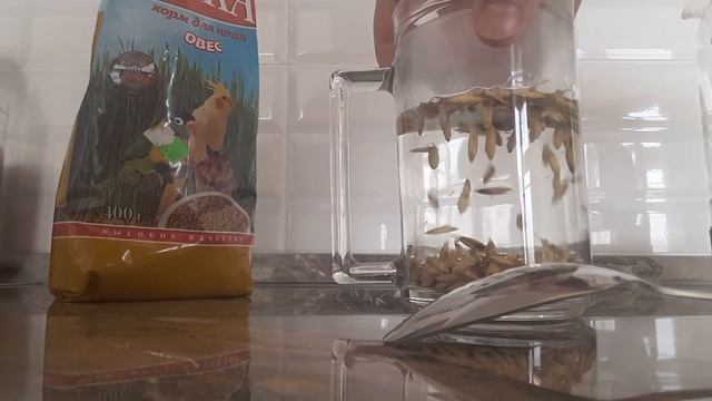 Ароматные Эксперименты