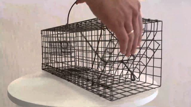 Крысоловка живоловушка смотреть онлайн