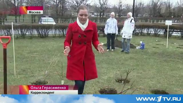К масштабной акции "Сирень Победы" присоединились Москва и Петербург смотреть онлайн