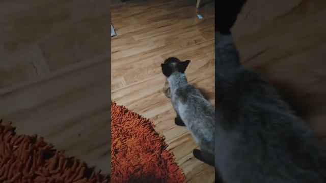 Живу я клево... А ты? смотреть онлайн