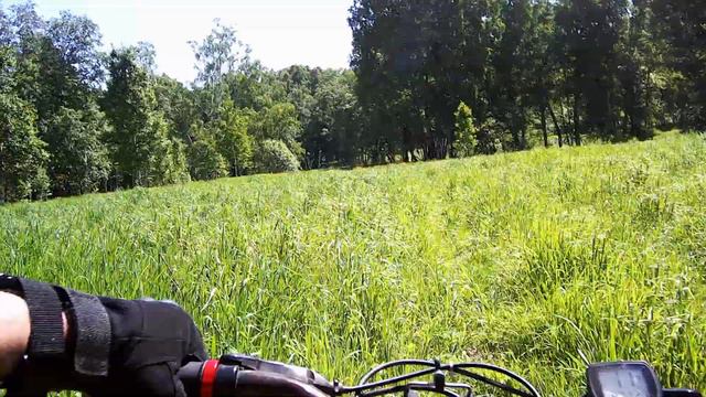 Велопрогулка Дорогино окрестности июнь 2021 смотреть онлайн