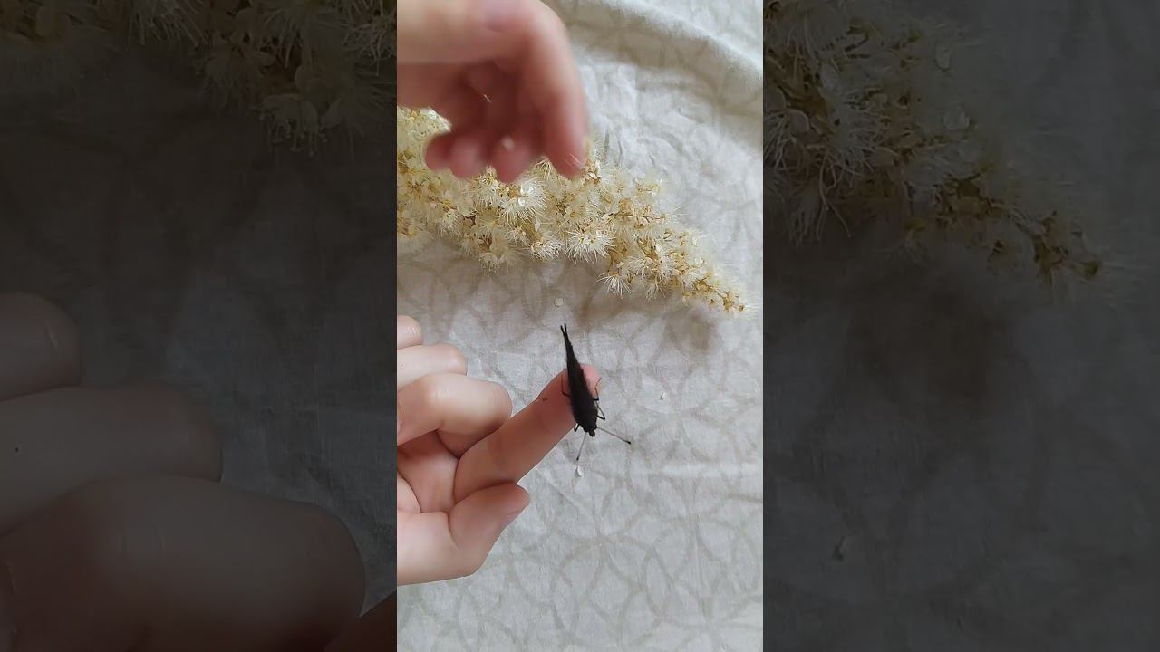 14 июля 2024 г. смотреть онлайн