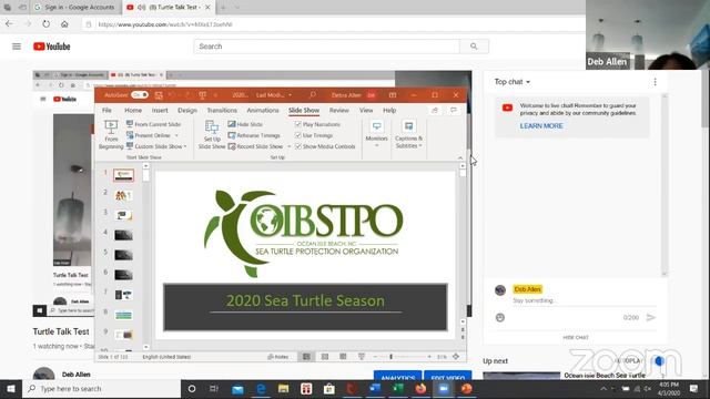 Turtle Talk Test смотреть онлайн