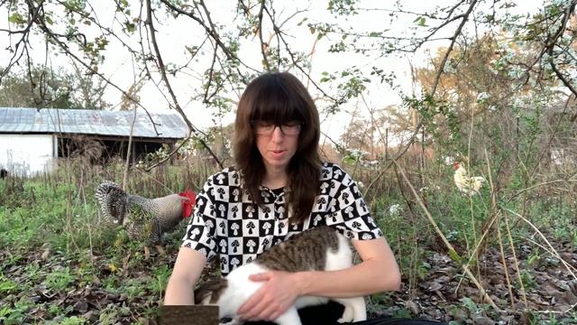 Don't Try So Hard - You're Already Home - Collective Oracle Card Reading смотреть онлайн