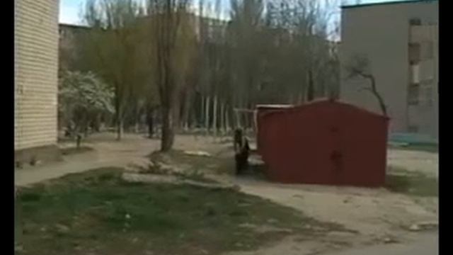 Паркурщик терминатор. смотреть онлайн