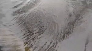 Блесна Атом М (модифицированная) / Spoon Atom M (modified)