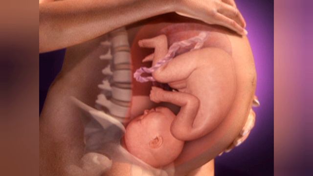 Stomach Pain During Pregnancy Malayalam|Why is it so painful When my Baby Move смотреть онлайн