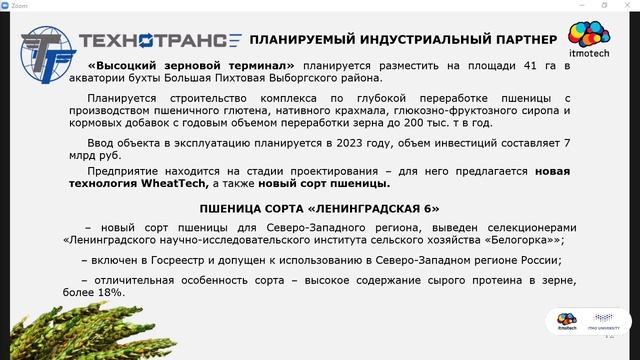 WheatTech. Технологическая платформа в секторе Agribiotech