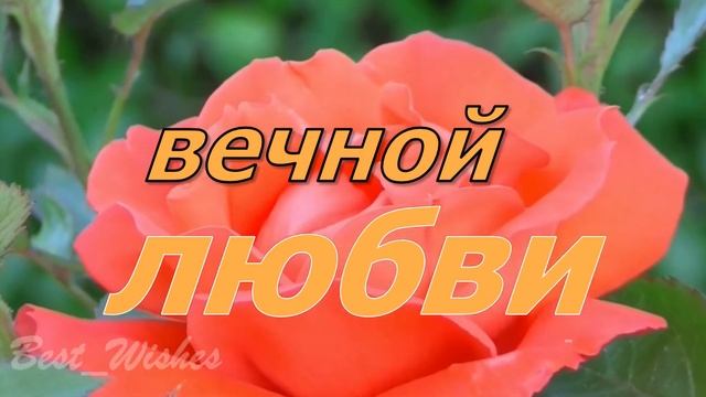 Красивая Прикольная Открытка с Кожаной Свадьбой, СУПЕР Поздравление с 3 Годовщиной Свадьбы в Стихах смотреть онлайн