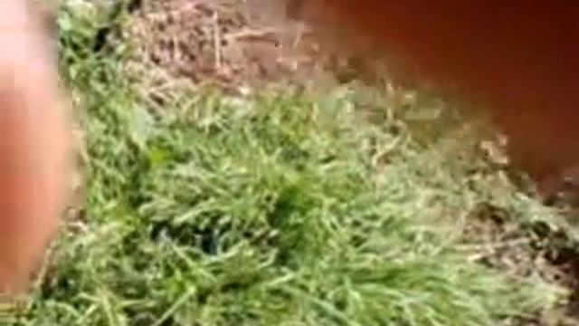 паяльная лампа ЛП 1500 смотреть онлайн