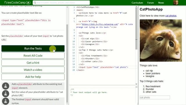 [18] Add Placeholder Text to a Text Field смотреть онлайн