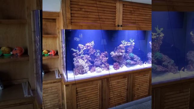 Fish By Design 400 Gallon Mixed Reef Saltwater Aquarium Installation Orange County CA смотреть онлайн