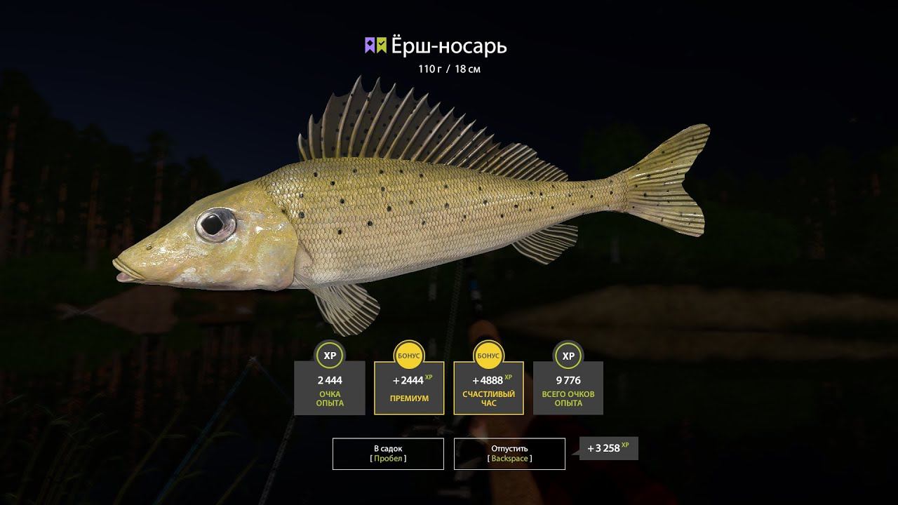 Русская рыбалка 4 Ёрш носарь смотреть онлайн