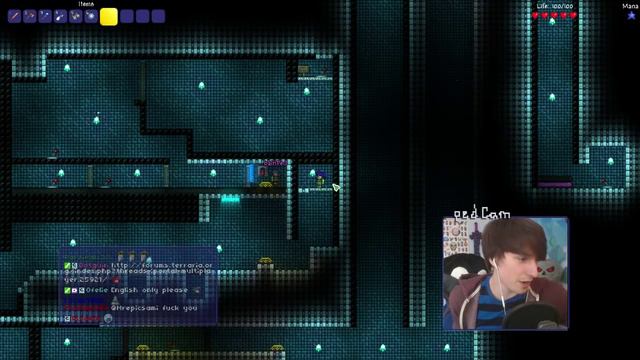Multiplayer Portal // Terraria Custom Map смотреть онлайн