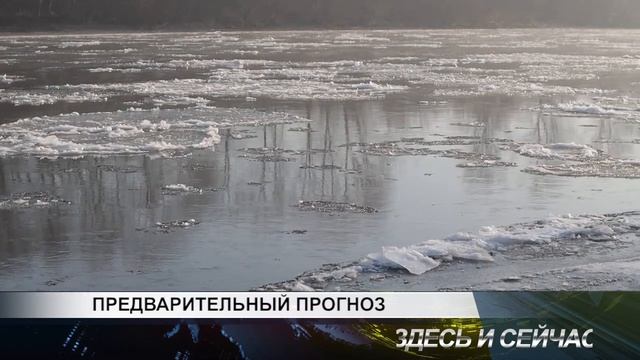 предварительный прогноз смотреть онлайн