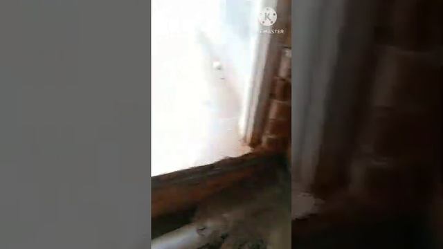 Diverter Fitting Inbuilb Steamer And Solar Geaser смотреть онлайн