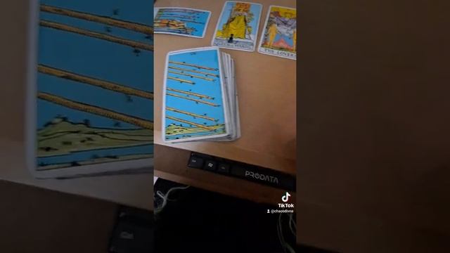 mini reading pt1 #Aaliyah Love Oracle available on #etsyshop Chaosofthedivinefem #tarot #oraclecard смотреть онлайн