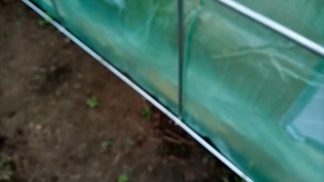 Обзор теплицы из Леруа Мерлен смотреть онлайн