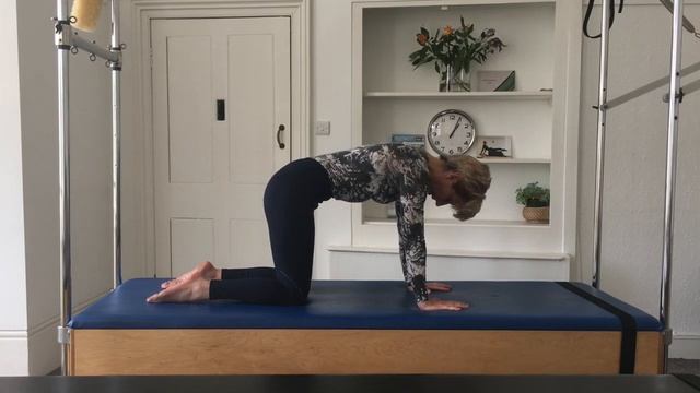 Pilates Mat - All Fours - Part 1 - All Levels смотреть онлайн