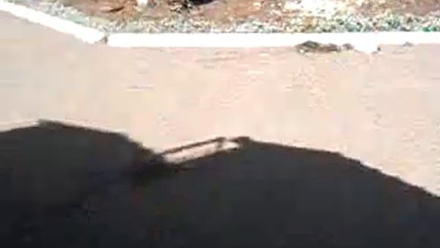 Рубят дерево смотреть онлайн