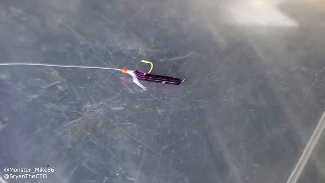 How To Catch PET Fish for Aquarium! DIY Sabiki Lure смотреть онлайн