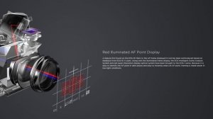 Canon 1D X Mark II: обзор в деталях и первый взгляд на возможности