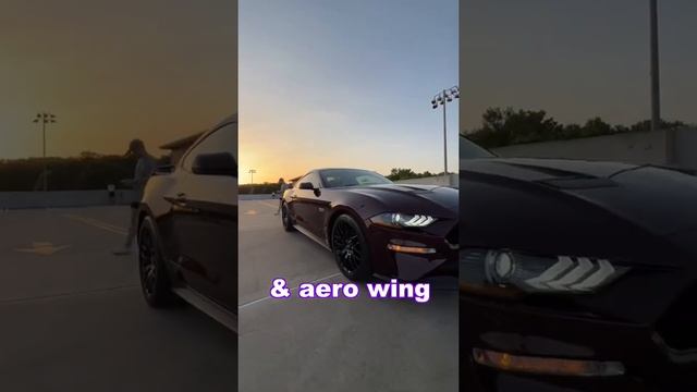 Ford Mustang GT PP1 Review! смотреть онлайн