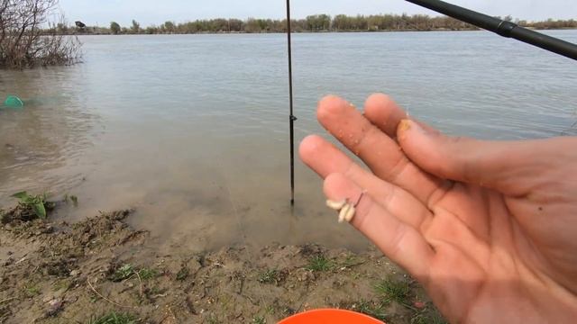 СЫРДАРЬЯ, РАЗВЕДЫВАТЕЛЬНАЯ РЫБАЛКА смотреть онлайн