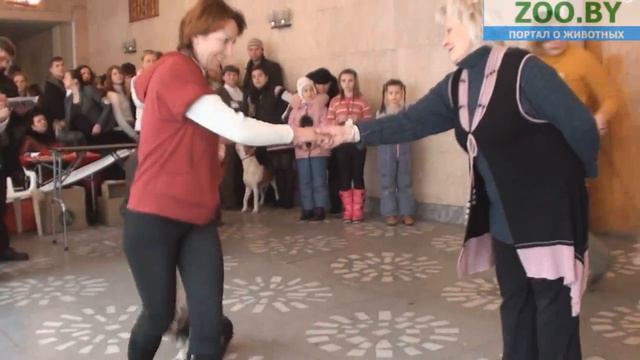 Лучший щенок смотреть онлайн