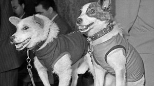 Первый в Мире Космический Корабль \ На чем летал Гагарин?