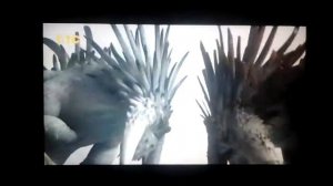 СТОИК vs ДРАГО и ДОБРЫЙ СМУТЬЯН vs ЗЛОЙ СМУТЬЯН(ЛЕГЕНДАРНЫЙ БОЙ!)