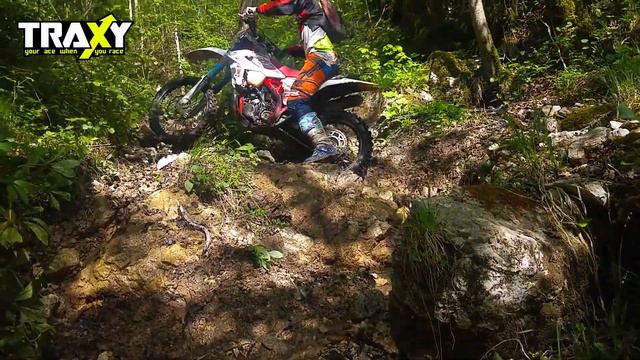 TRAXY in it's natural habitat смотреть онлайн