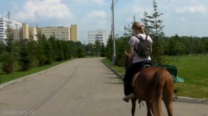 Верховая езда: катание на лошадях в Москве. Лето 2010