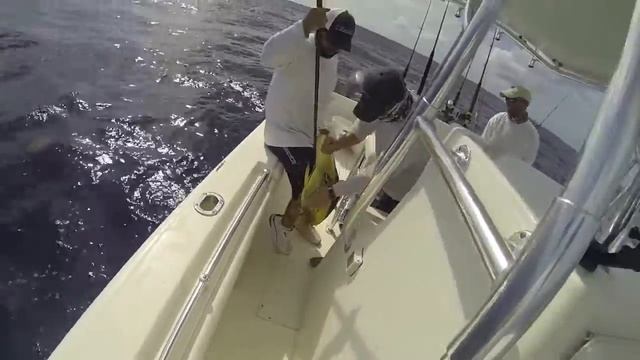 Fishing on the Perfect Catch Mobile смотреть онлайн