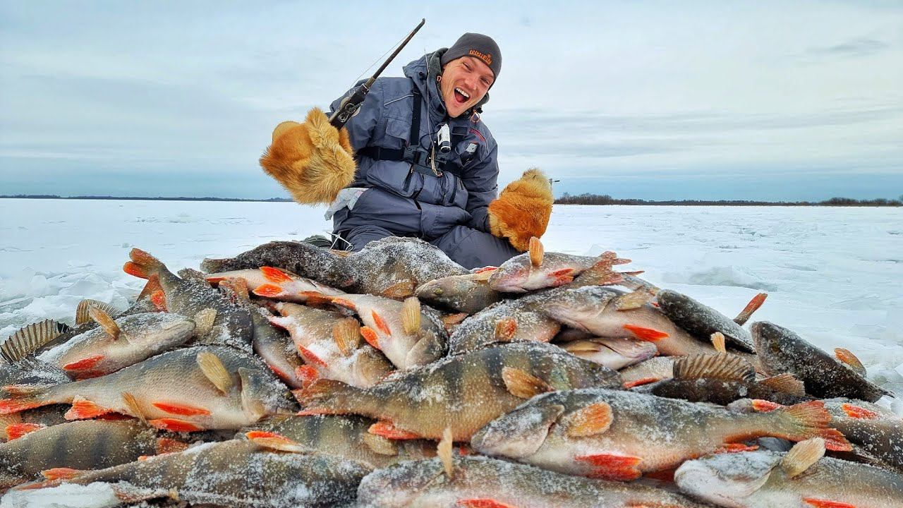 ЭТО СОН?! ОКУНИ СОШЛИ С УМА! ЖОР И ДРЕВНЯЯ УДОЧКА! Рыбалка у охотника часть 2 смотреть онлайн