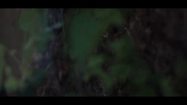 DANCE MONKEY - VIDEO OFFICIAL 2 / TONES AND I