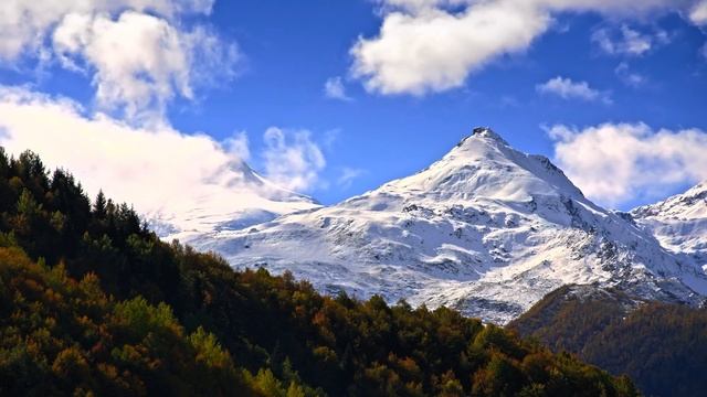 SHARPEST DETAIL | 12K HDR DOLBY VISION™ 120FPS